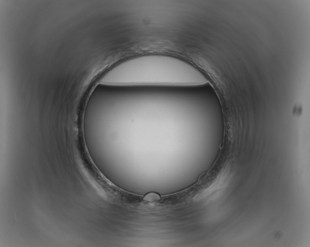 X0000093260634200709261619