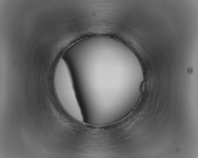 X0000093260635200709261619