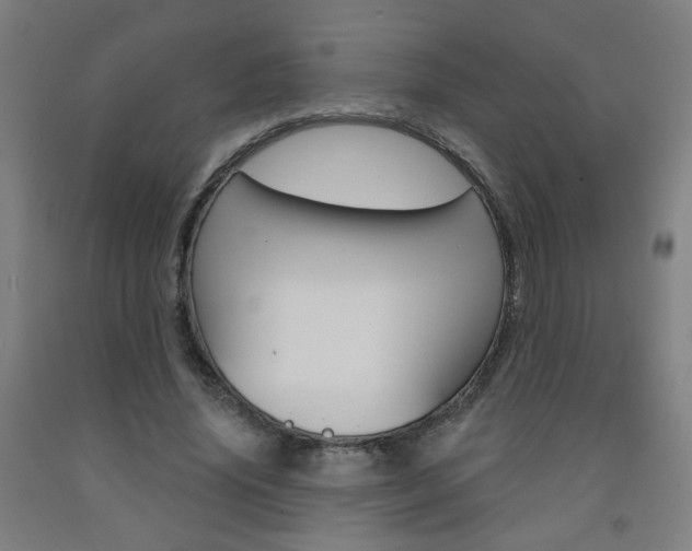 X0000093260636200709261619