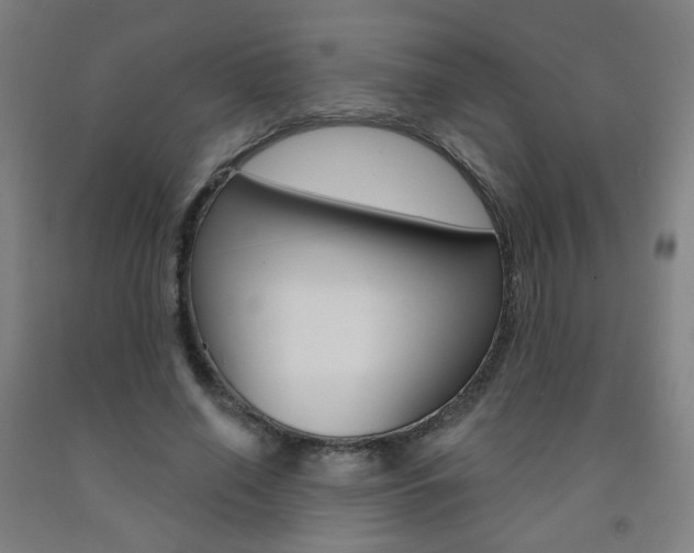 X0000093260638200709261619