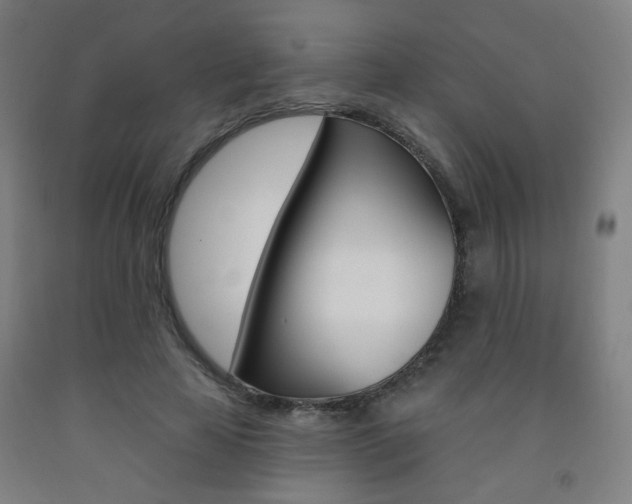 X0000093260641200709261619