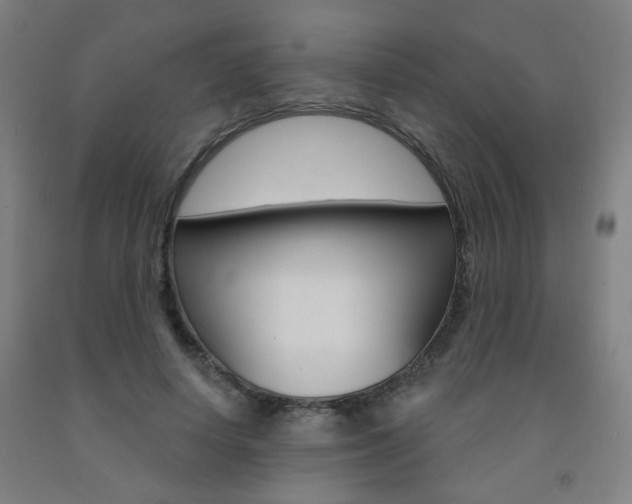 X0000093260642200709261619