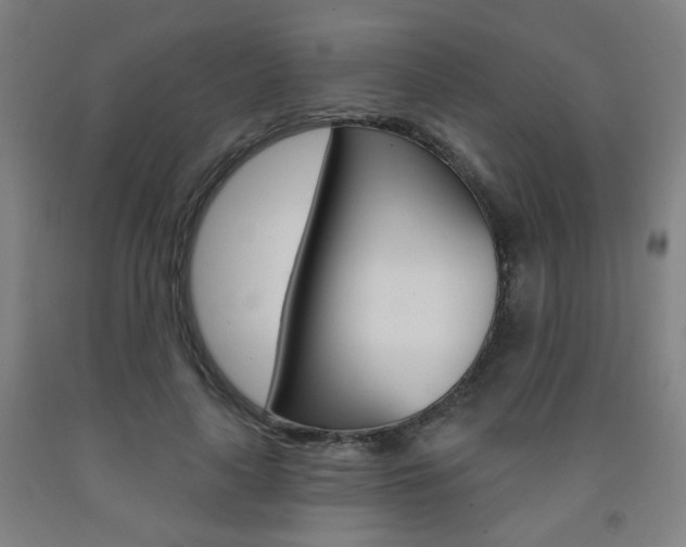 X0000093260643200709261619