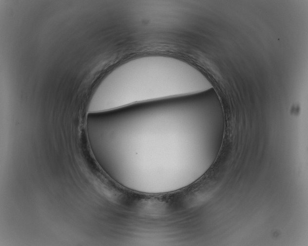 X0000093260644200709261619