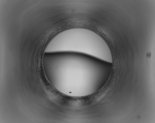 X0000093260646200709261619