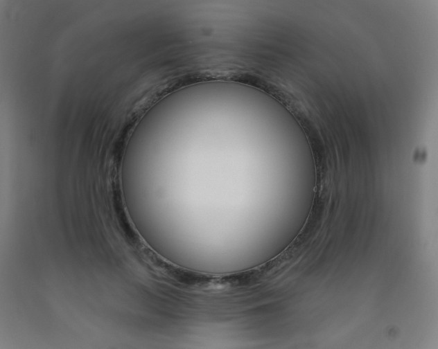 X0000093260647200709261619