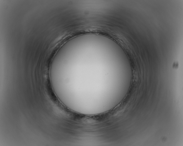 X0000093260648200709261619