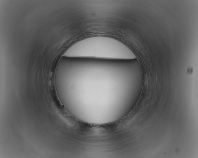 X0000093260650200709261619