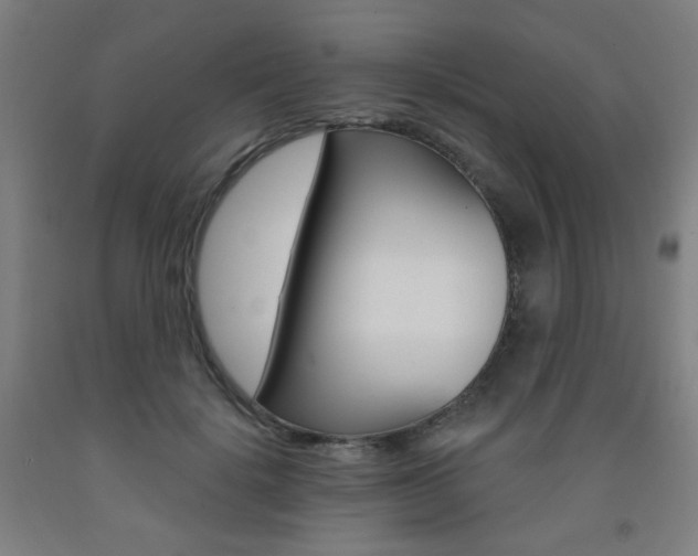 X0000093260652200709261619