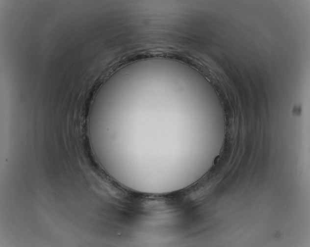 X0000093260653200709261619