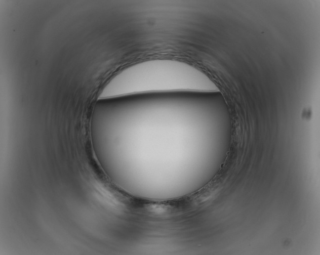 X0000093260654200709261619