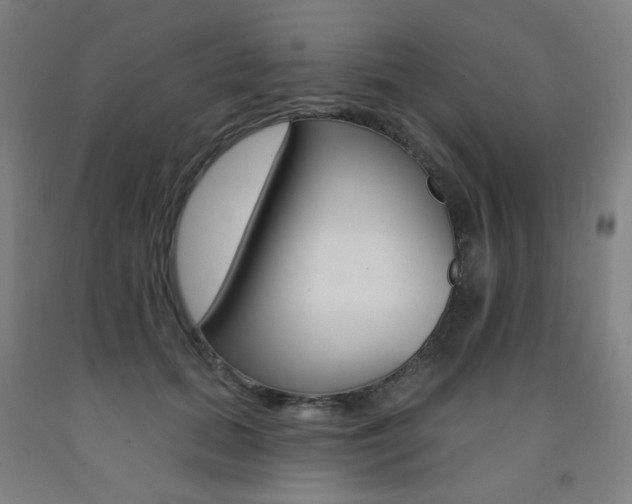 X0000093260655200709261619