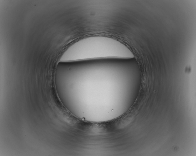 X0000093260656200709261619