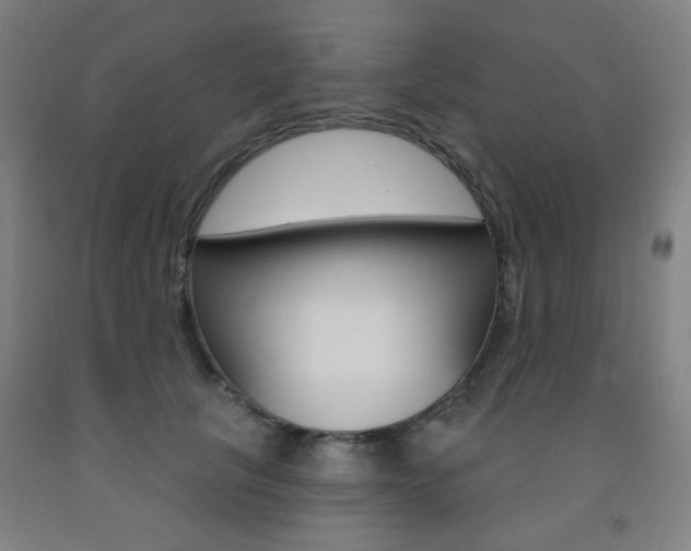 X0000093260657200709261619