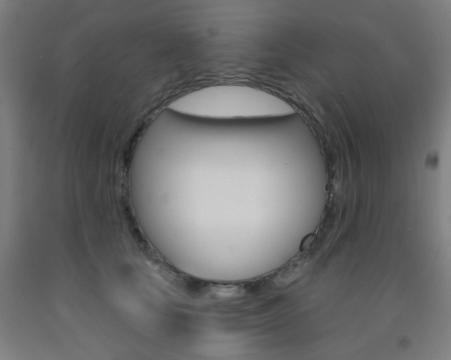 X0000093260659200709261619