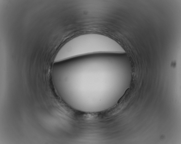 X0000093260660200709261619