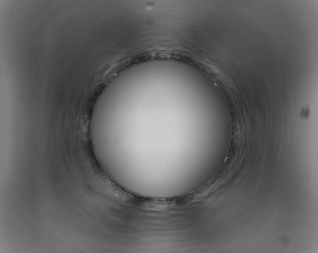 X0000093260661200709261619