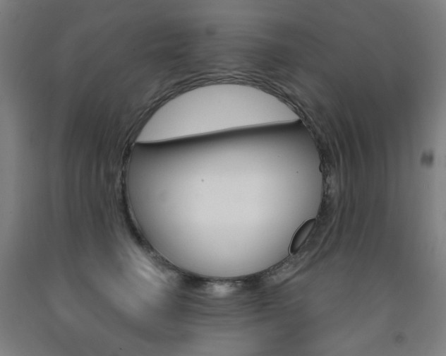 X0000093260662200709261619