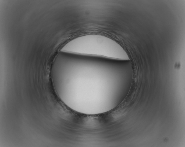 X0000093260664200709261619