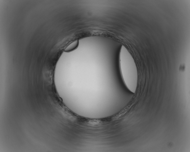 X0000093260666200709261619