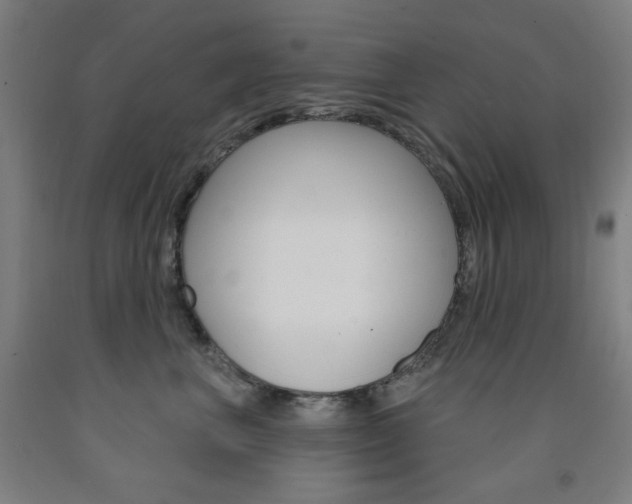 X0000093260667200709261619
