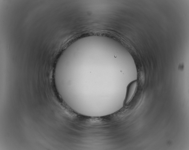 X0000093260668200709261619