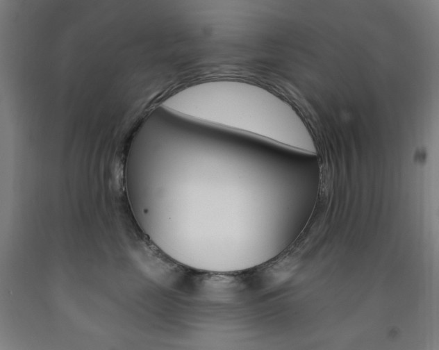 X0000093260669200709261619