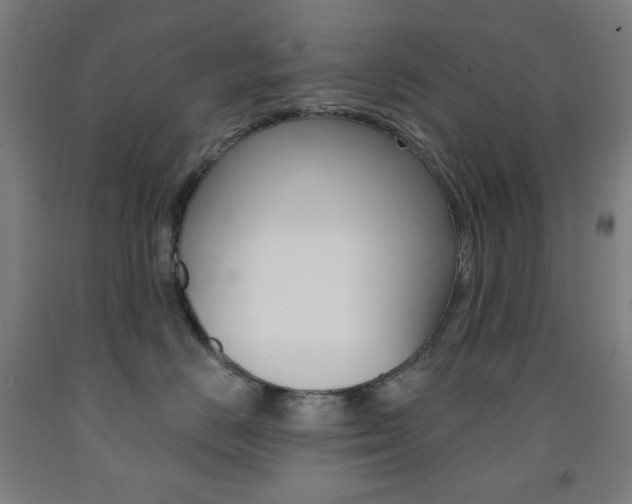 X0000093260670200709261619