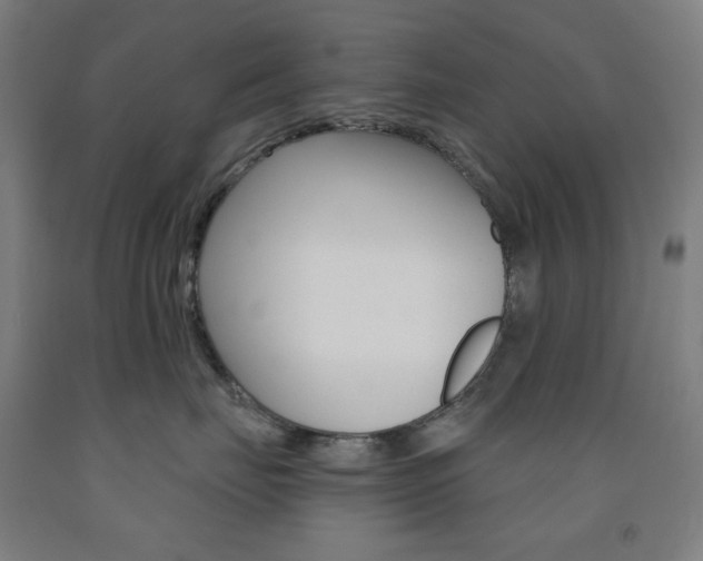 X0000093260671200709261619