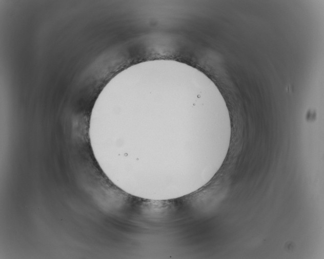 X0000093260672200709261619