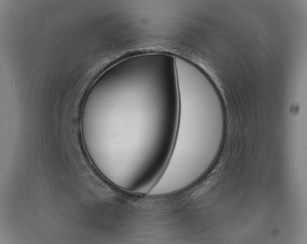 X0000093260673200709261619