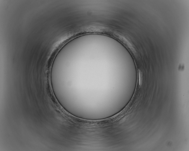 X0000093260675200709261619