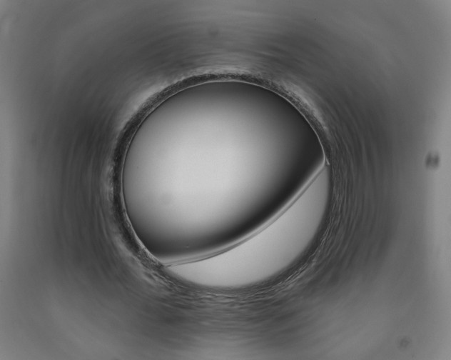 X0000093260676200709261619