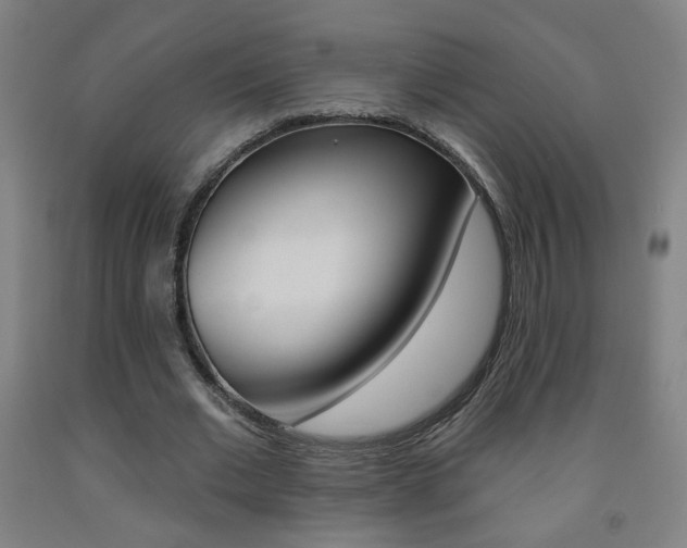 X0000093260677200709261619
