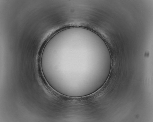 X0000093260678200709261619
