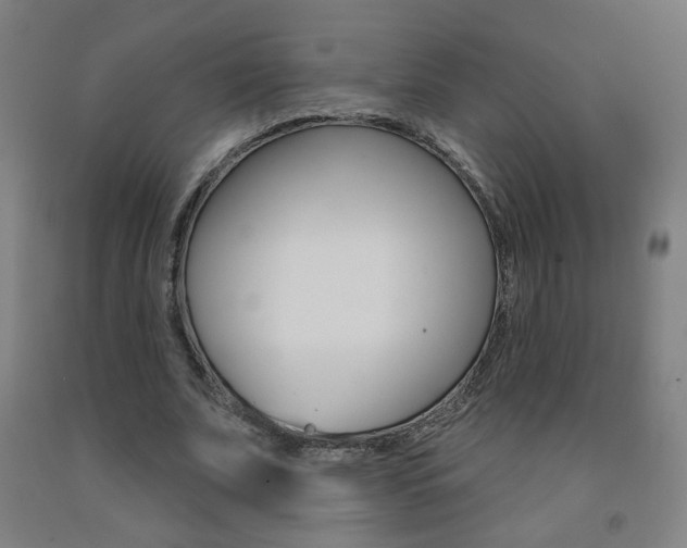 X0000093260679200709261619