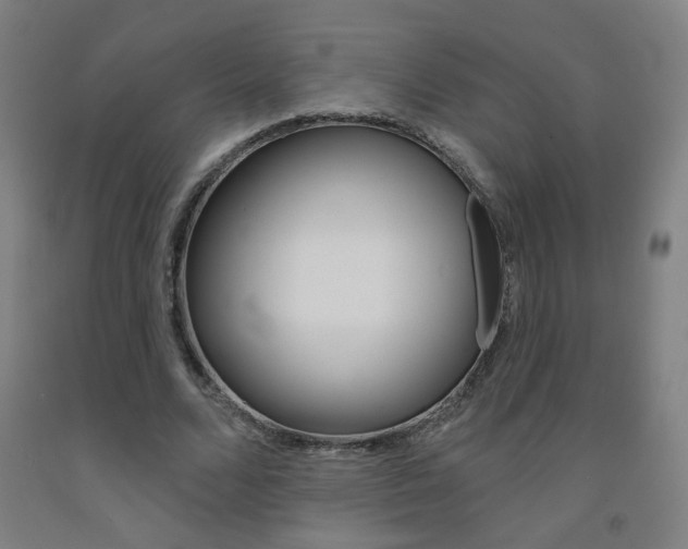 X0000093260680200709261619
