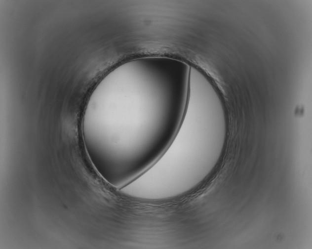 X0000093260681200709261618