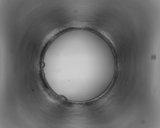 X0000093260682200709261618