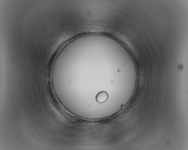 X0000093260683200709261618