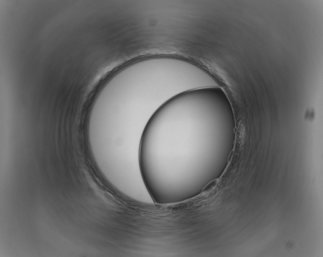 X0000093260684200709261618