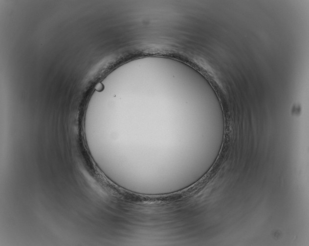 X0000093260686200709261618