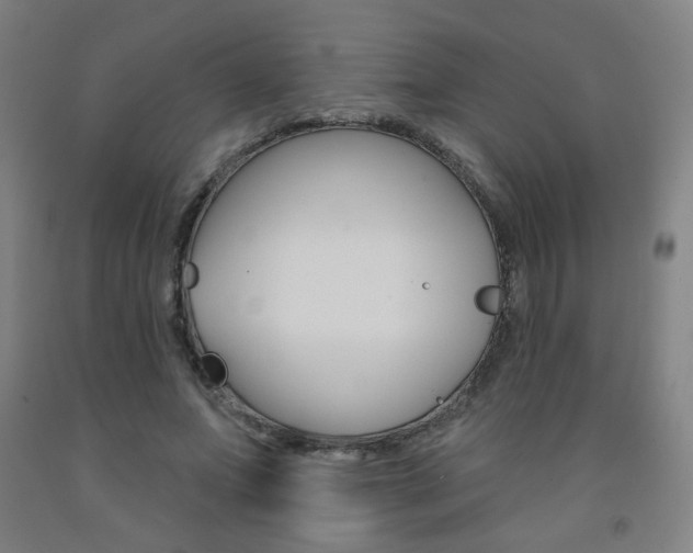 X0000093260687200709261618