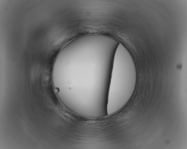 X0000093260691200709261618