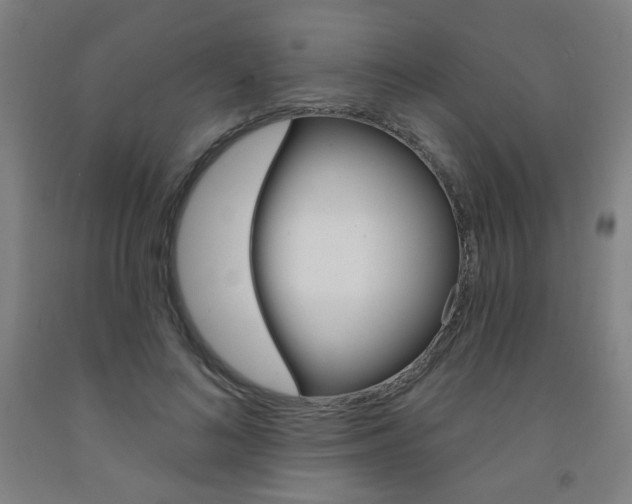 X0000093260692200709261618