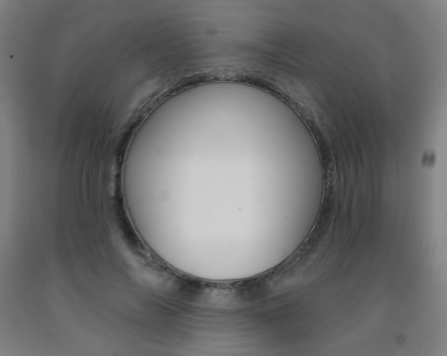 X0000093260694200709261618