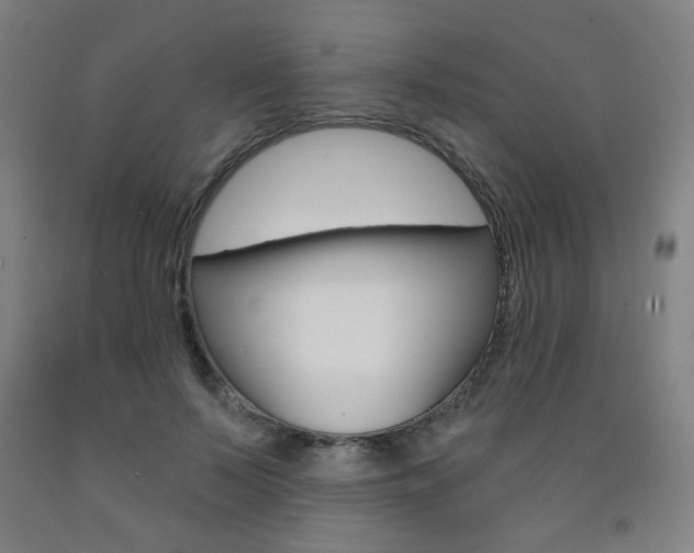 X0000093260695200709261618