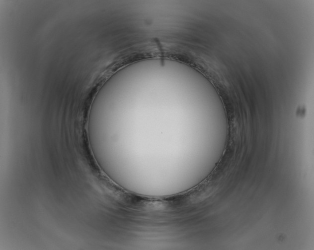X0000093260698200709261618
