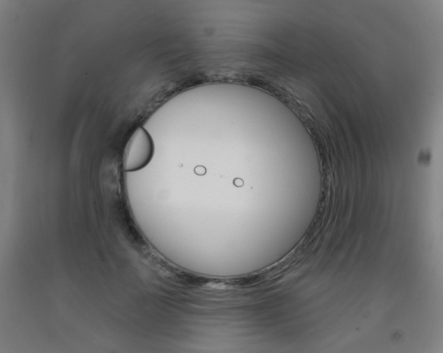 X0000093260699200709261618