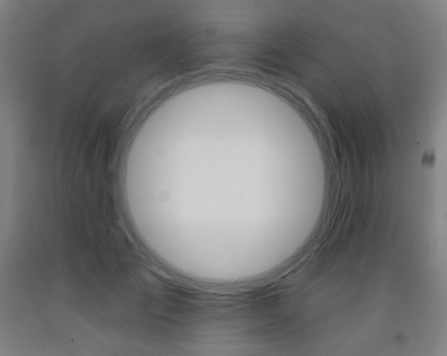 X0000093260701200709261618